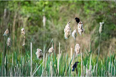 789 Salisbury Turnpike, Red Hook, NY 12571 - Photo 21