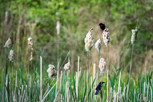 789 Salisbury Turnpike, Red Hook, NY 12571 - Photo 21