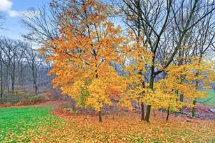 201 Woods Brooke Dr, Mahopac, NY 10541 - Photo 45