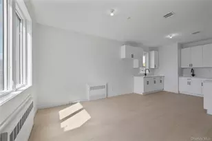 234 Old Nyack Turnpike, Spring Valley, NY 10977 - Photo 39