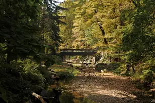 227 E Hook Rd, Hopewell Junction, NY 12533 - Photo 7