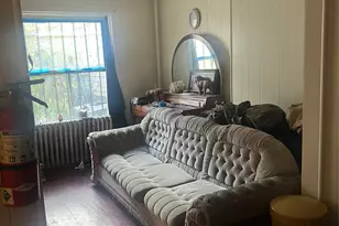 160 Decatur St, Brooklyn, NY 11233 - Photo 3