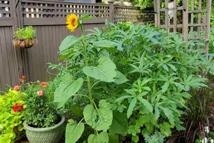 361 Albany Ave, Kingston, NY 12401 - Photo 9