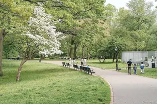 54-23 153rd St, Flushing, NY 11355 - Photo 13