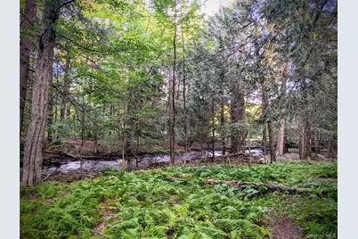 24 N Mohican Trail, Smallwood, NY 12778 - Photo 41