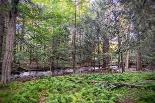 24 N Mohican Trail, Smallwood, NY 12778 - Photo 41