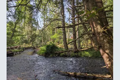 24 N Mohican Trail, Smallwood, NY 12778 - Photo 7