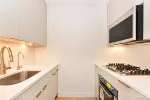 1 Birchwood Ct, Mineola, NY 11501 - Photo 5