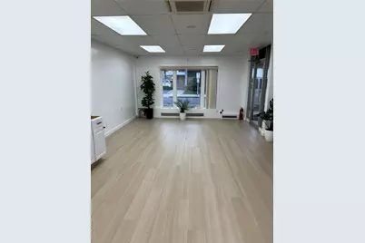 10 Verbena Avenue #First Floor, Front, Floral Park, NY 11001 - Photo 11