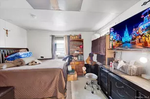 14 Bartels Pl, New Rochelle, NY 10801 - Photo 19