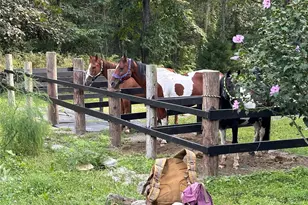 355 Fosler Rd, Wallkill, NY 12589 - Photo 45