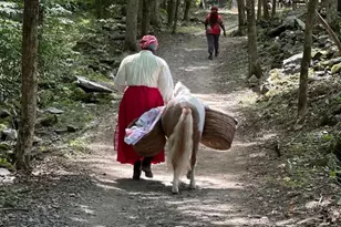 355 Fosler Rd, Wallkill, NY 12589 - Photo 33