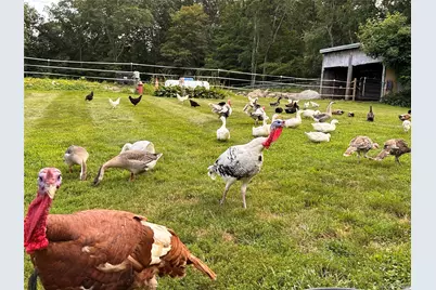 355 Fosler Road, Wallkill, NY 12589 - Photo 35