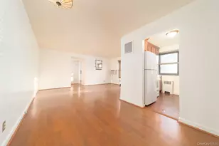 8 W Mill Dr, Great Neck, NY 11021 - Photo 11