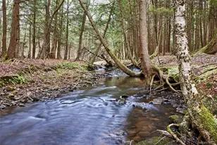 343 Dahlia Rd, Livingston Manor, NY 12758 - Photo 27