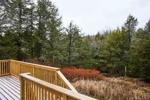 343 Dahlia Rd, Livingston Manor, NY 12758 - Photo 25