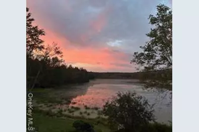 10 Dorm Drive, Fallsburg, NY 12747 - Photo 19