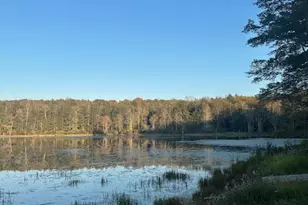 10 Dorm Dr, Fallsburg, NY 12747 - Photo 21