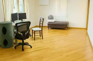 243 Cushing Ave, Williston Park, NY 11596 - Photo 3