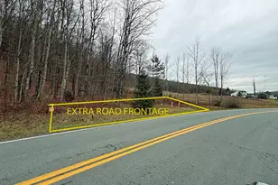 292 Co Rd 93, Roscoe, NY 12776 - Photo 41