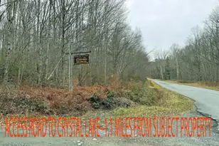 292 Co Rd 93, Roscoe, NY 12776 - Photo 45