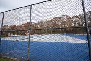 312 Artist Lake Dr, Middle Island, NY 11953 - Photo 17