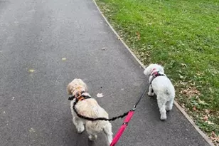 382 Central Prk W, New York, NY 10025 - Photo 25