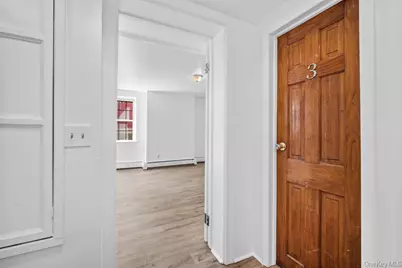 113 Hone Street, Kingston, NY 12401 - Photo 11