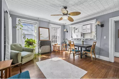 113 Hone Street, Kingston, NY 12401 - Photo 19