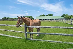 170 Vineyard Way, Aquebogue, NY 11931 - Photo 11