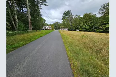 3624 State Route 55, Kauneonga Lake, NY 12720 - Photo 17