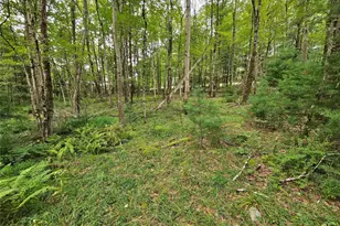 3624 State Rte 55, Kauneonga Lake, NY 12720 - Photo 23