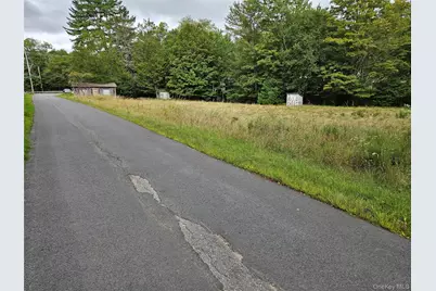 3624 State Route 55, Kauneonga Lake, NY 12720 - Photo 29