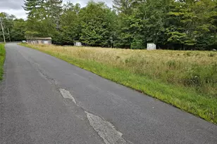 3624 State Rte 55, Kauneonga Lake, NY 12720 - Photo 29