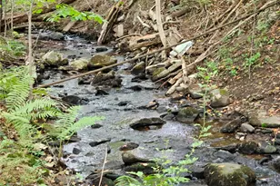 3624 State Rte 55, Kauneonga Lake, NY 12720 - Photo 27