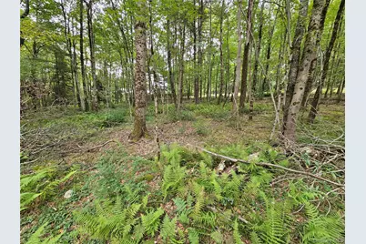 3624 State Route 55, Kauneonga Lake, NY 12720 - Photo 25