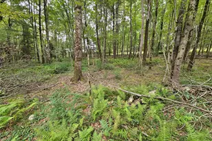 3624 State Rte 55, Kauneonga Lake, NY 12720 - Photo 25