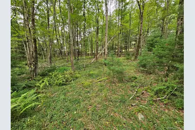 3624 State Route 55, Kauneonga Lake, NY 12720 - Photo 23