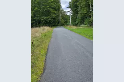 3624 State Route 55, Kauneonga Lake, NY 12720 - Photo 21