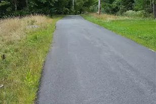 3624 State Rte 55, Kauneonga Lake, NY 12720 - Photo 21