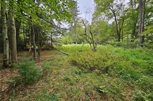 3624 State Rte 55, Kauneonga Lake, NY 12720 - Photo 27