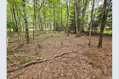 3624 State Route 55, Kauneonga Lake, NY 12720 - Photo 21