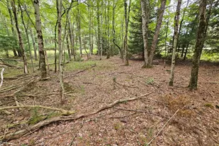 3624 State Rte 55, Kauneonga Lake, NY 12720 - Photo 21