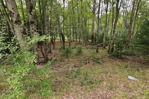 3624 State Rte 55, Kauneonga Lake, NY 12720 - Photo 19