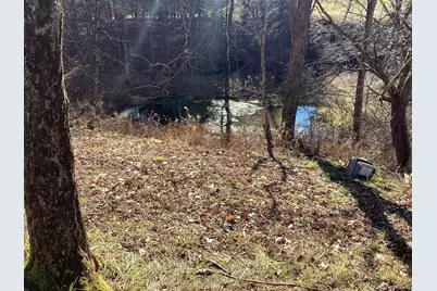 463 County Road 131, Callicoon, NY 12723 - Photo 29