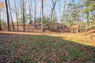 5 Van Ct, Hyde Park, NY 12538 - Photo 39