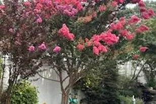 194 Newark St, Lindenhurst, NY 11757 - Photo 39