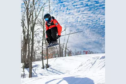 40 Beaver Brook Road, Yulan, NY 12792 - Photo 17