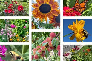 28 S Brett St, Beacon, NY 12508 - Photo 35