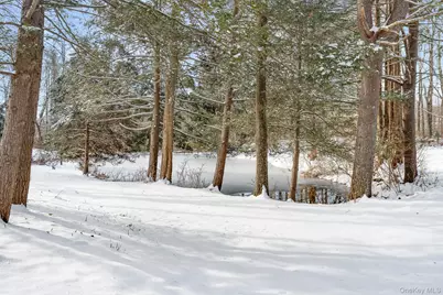 104 S Quaker Lane, Hyde Park, NY 12538 - Photo 33